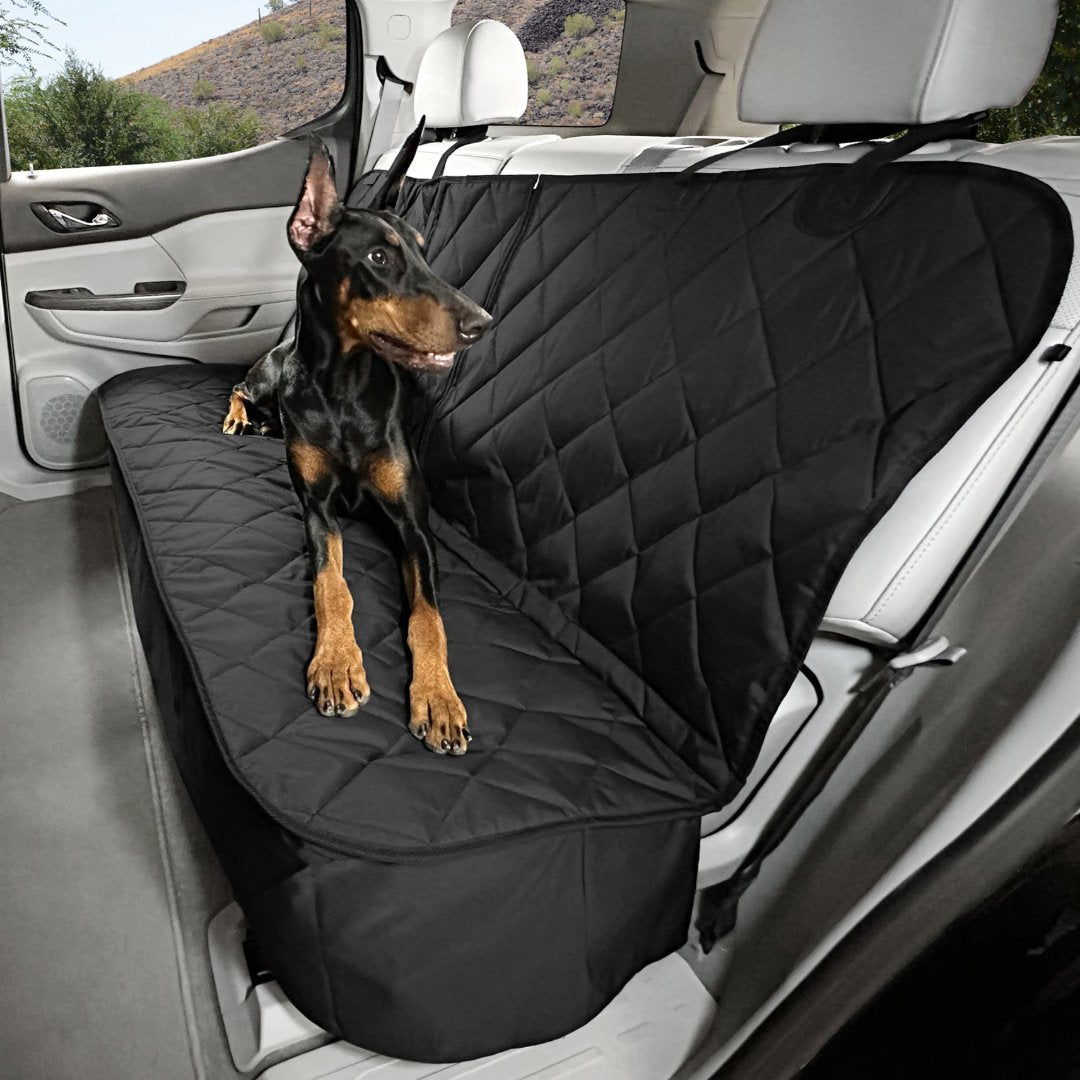 Gifts for Dog Owners Who Travel: Practical Ideas for Cleaner Car Rides