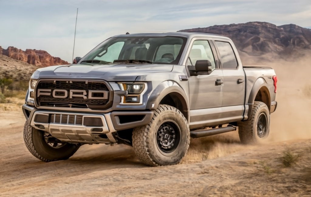 Black Ford F-150 Raptor parked outdoors on a tree-lined road.