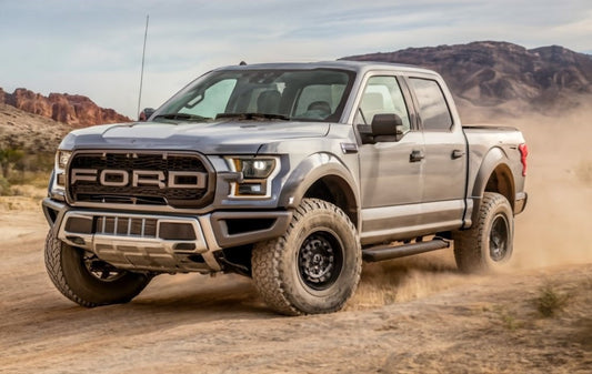 Black Ford F-150 Raptor parked outdoors on a tree-lined road.