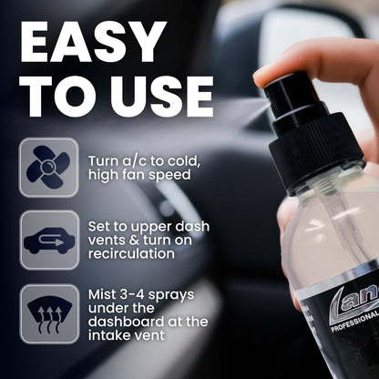 Passion Fruit Car Air Freshener - Oil Base
