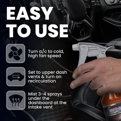 Cinnamon Car Air Freshener