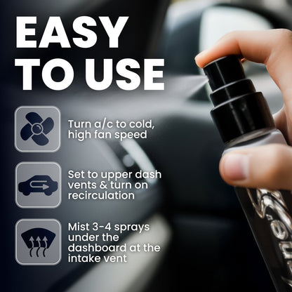 Pina Colada Car Scent