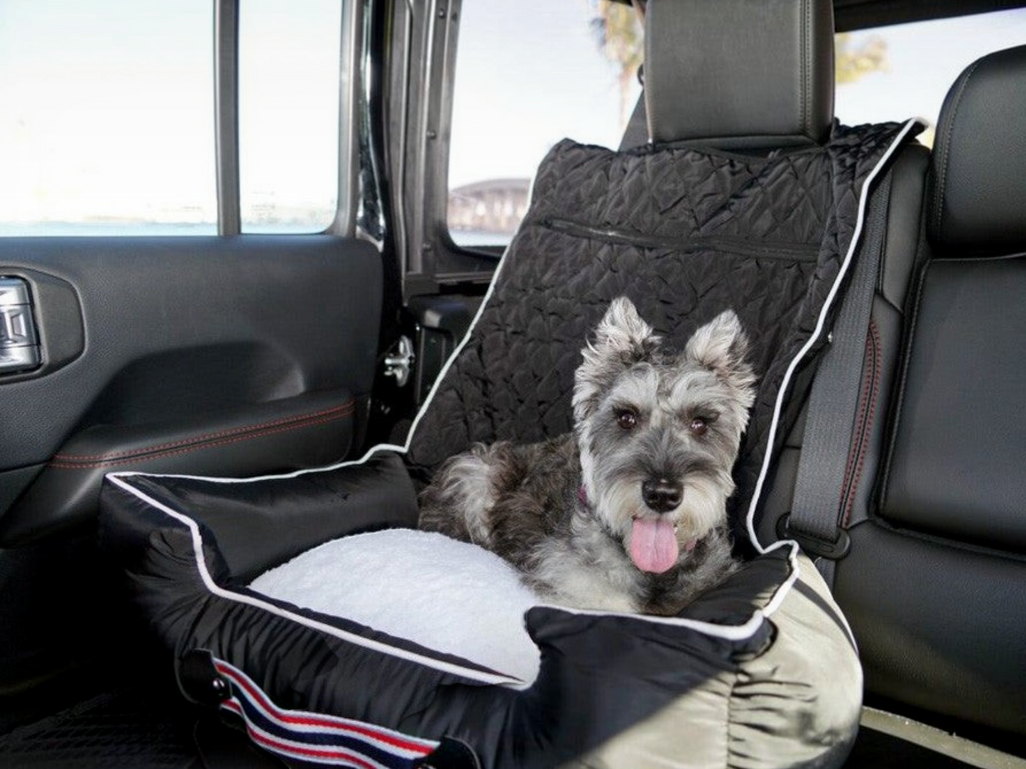 T-Top Vibes universal pet bed and car seat cover in black with white trim, featuring a dog resting inside.