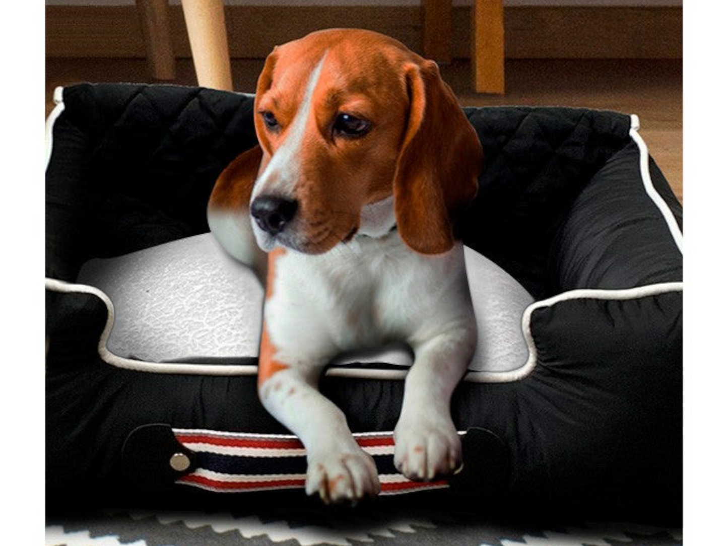 T-Top Vibes Camaro pet bed and car seat cover in black with a beagle resting inside on a white cushion.