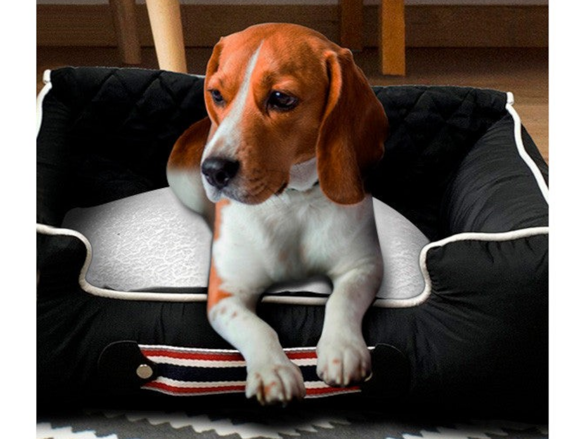 T-Top Vibes Camaro pet bed and car seat cover in black with a beagle resting inside on a white cushion.