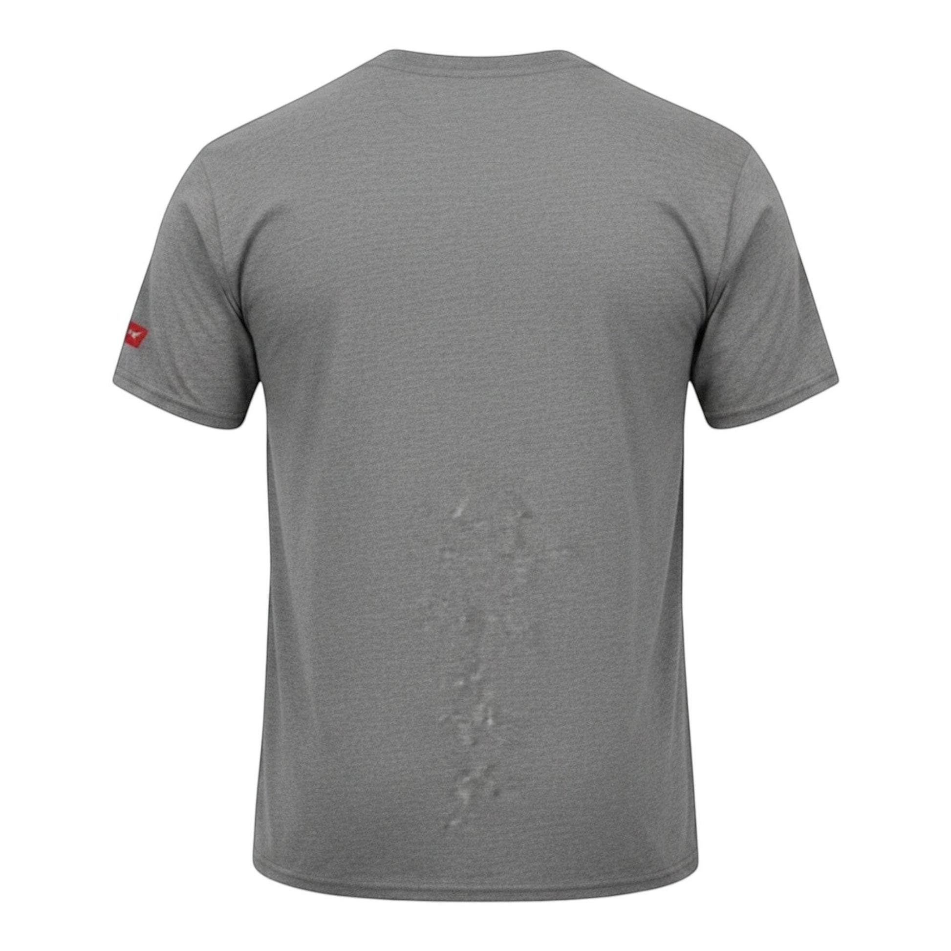 T-Top Vibes graphite grey vintage Corvette t-shirt back view made from a soft cotton poly blend fabric.