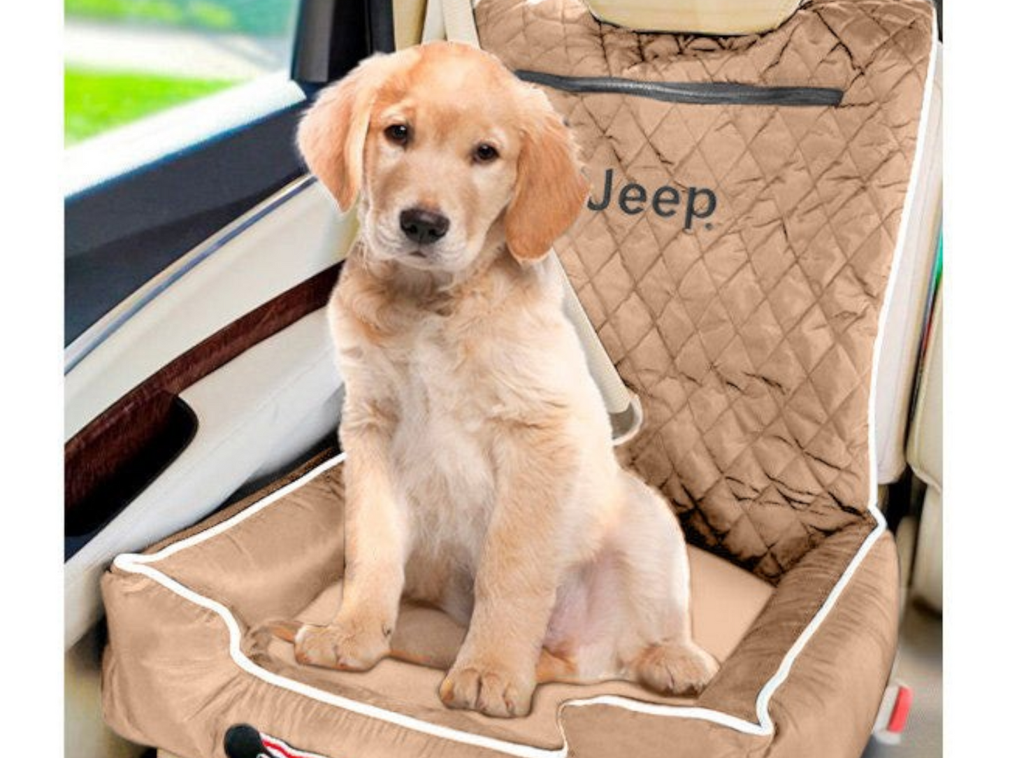 A cute golden retriever puppy sitting, featured in T-Top Vibes Jeep pet bed and car seat cover promotional imagery.